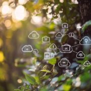 Imgbb : explorez ses fonctionnalités uniques pour le stockage de photos