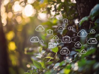 Imgbb : explorez ses fonctionnalités uniques pour le stockage de photos