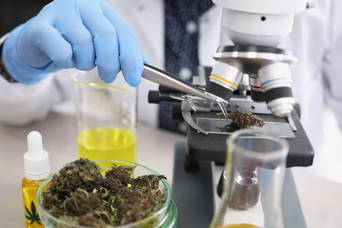 extraction CO2 unique